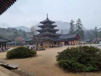 9be5ba678697ee1cc44d5b710e4509d95c28671622585691e3fdfc26110511a0d20f4c261f35ba554aaacdf6d00e7523500a1ca3e360ac3a1ef4154e3f46fd07