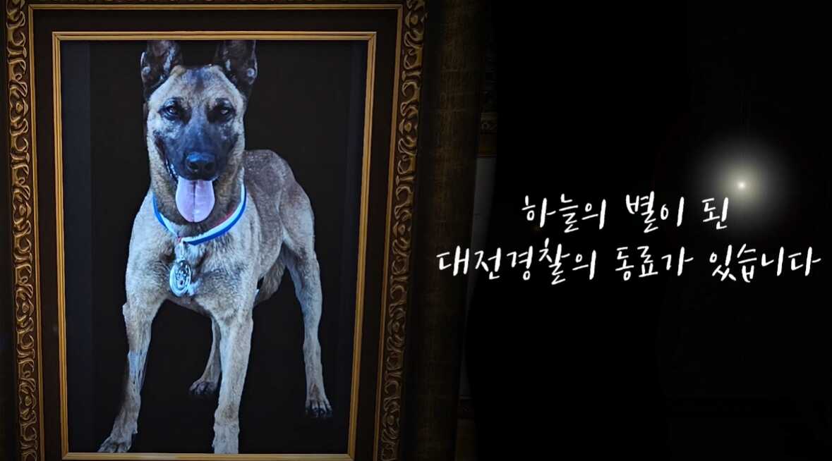 9d60cd046fffe2c157f93a303155e4dd3a33481543ce2f104fadcc8643071cf88c5d38f801fc1acbd53fd6756f0edb0b590fa3107ddd232051cb2eb143cbe59b