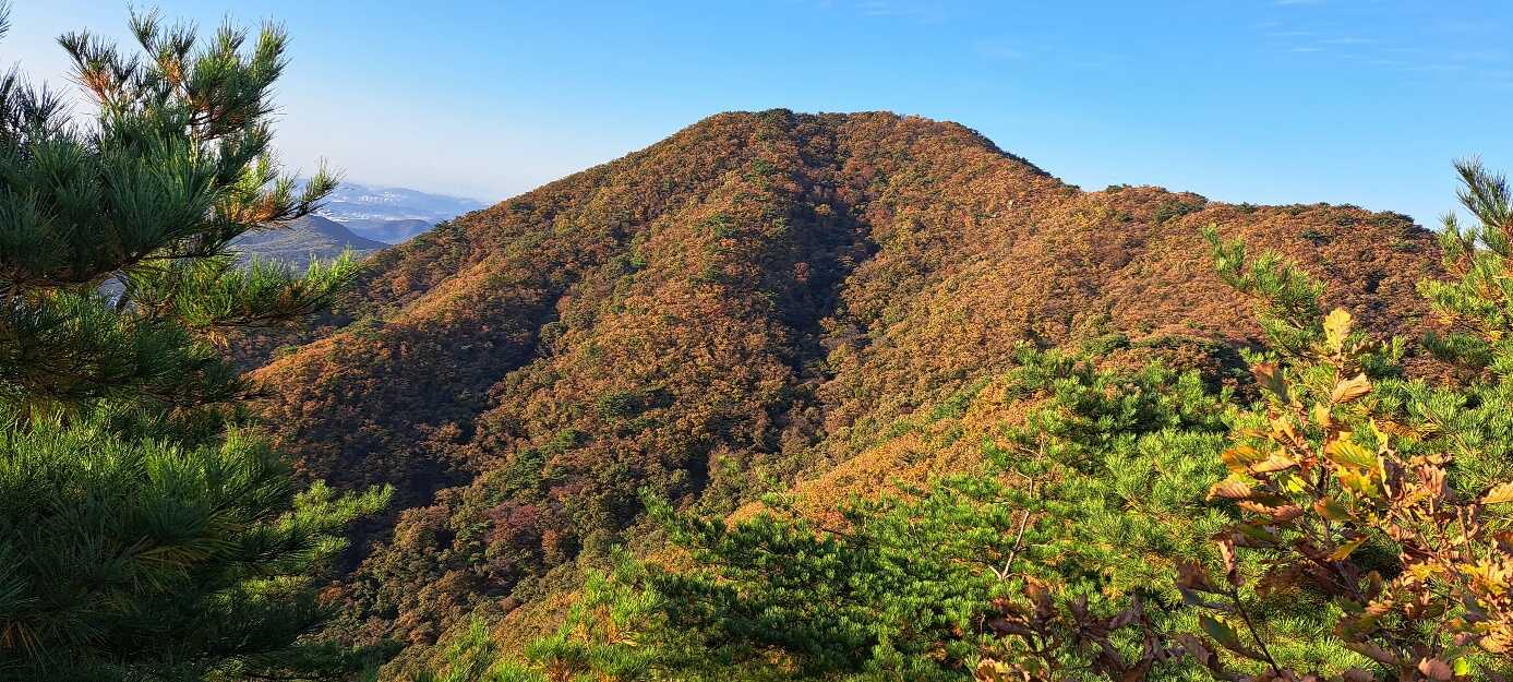 9d772b17c9df9b913e7b7f6e0b40f81ce1a5a4e2ef5ddaed2cb7b029bde7b6e73e76a79b804f34aa1415b8aa0c9b81f3862e3bdb590c0bcd202eced0dcfb329a