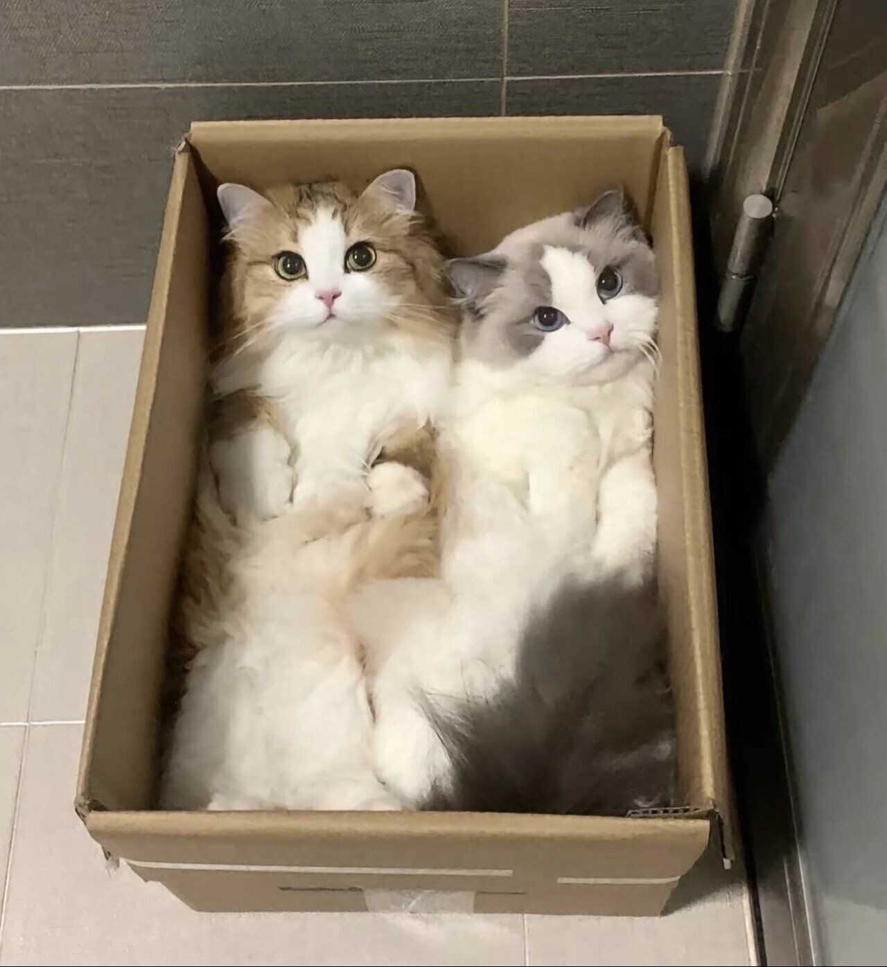 9e1b18922532863787e5a7d0bfdddcb2c7b6e499a68f51b9f8cdb67faa5a40a84f2fb4f052b2713016e28f0ee5b1072e54951bf0bd3bfd2d83c37dfb65c6a84c