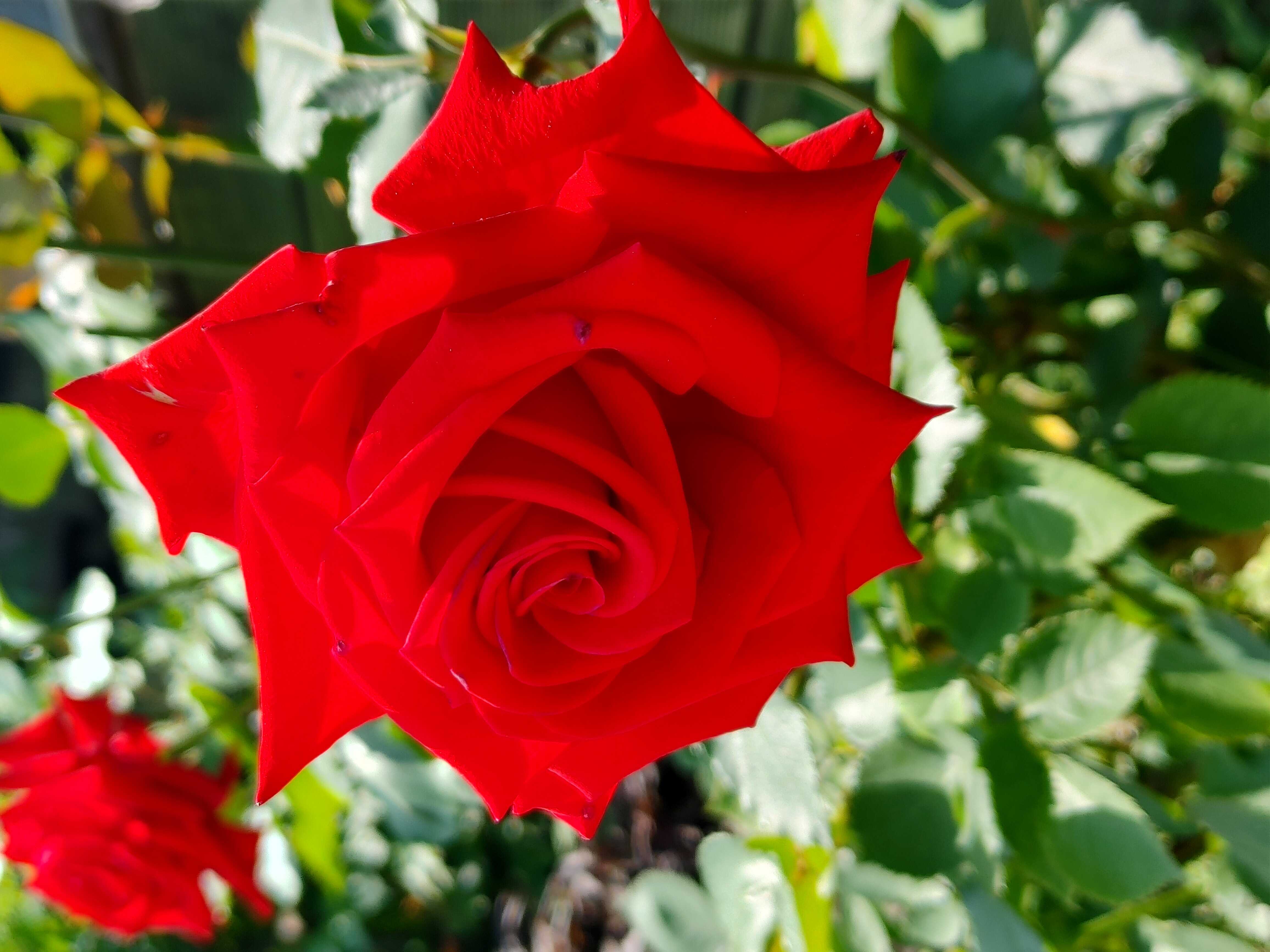 9e4000ae81a7c1f43ff665ebabd82933e17294aa1e2fc386246805916a65992a0ec966bd9967fdd8106fc433bb8511059082a81f4ebbf7ed9275fb672083fc6b