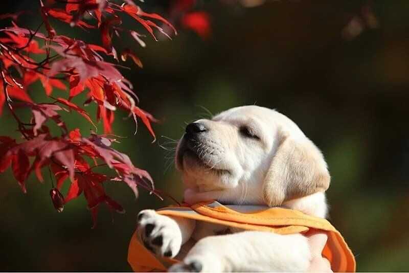 9eddb9fac43c599b1d2f56d17c21139329e49f58aee906672262caf977db29d858c7ed7b8b62147203019213231a737dff914ad3141b810a72d97fb455a784f9