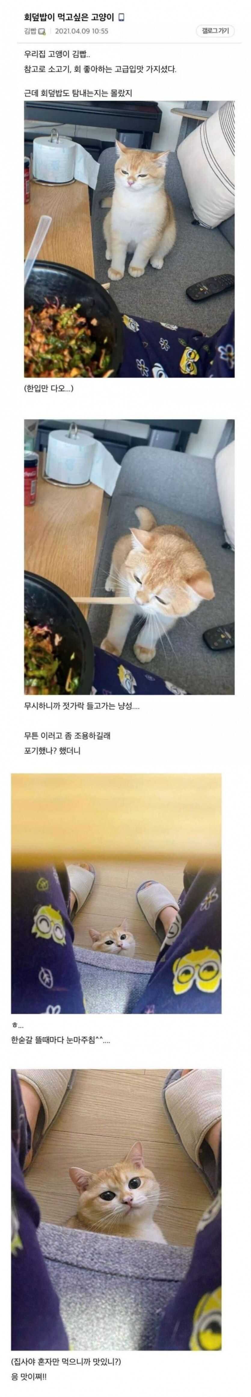 9ee71c0acf59a77ea76c213a571c041b38fcf2508470188a0c199224e919c20aa4aef8c32237861370c47a036e0b018124e860039d71b5333c3601606c59db10