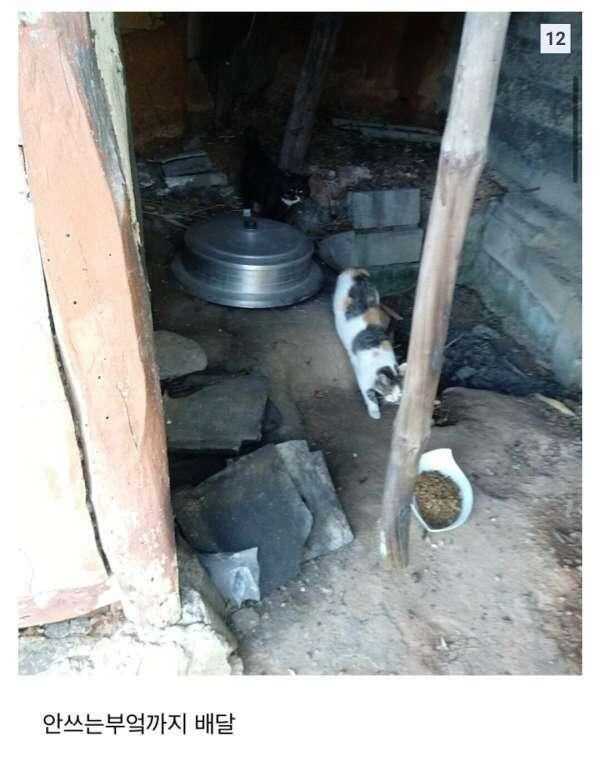 9ef143aa717dca0fcbd3ad7466d0384476750f6420e71a21c1a221fa5a49795e494707ad2bddcd0d9e1b639073fb665119d55d3cedcd77b8c62efede81936c0d