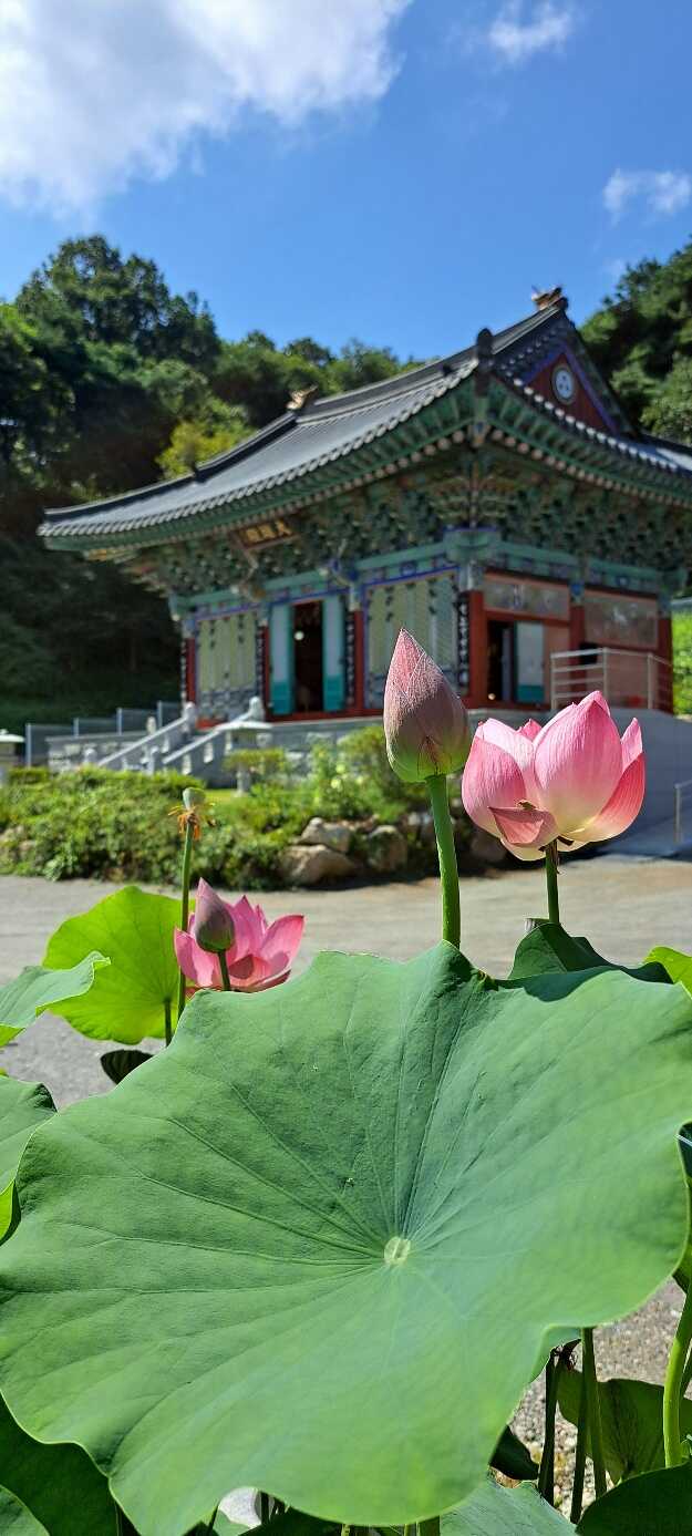 9f1bd9d7f2ded2388c67d317476cf160b1075f162cbc111fb0db43ce8c8ddd81a64dfd8cad14c7764f43c2186e7d3478c1e5109bc530edbe8d03940e4f869146