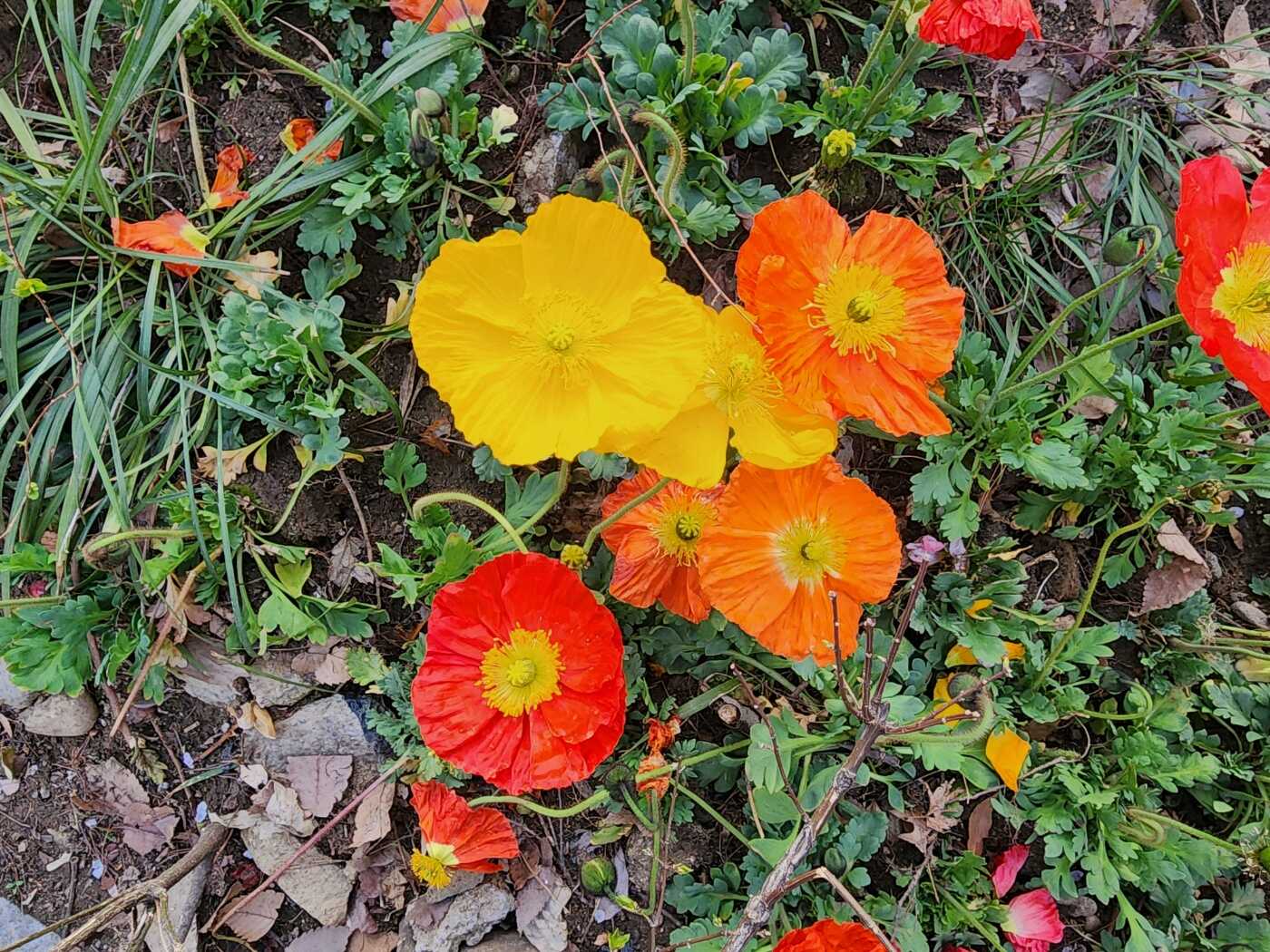 a0e5d989e94015ea4de998719c7f6083ca1c543f8b4e3b2244936e6993136a1614f605cc4f0cc49ea1237e4f92a86f1ddebb1469cb894fca2265fd6a81211db8