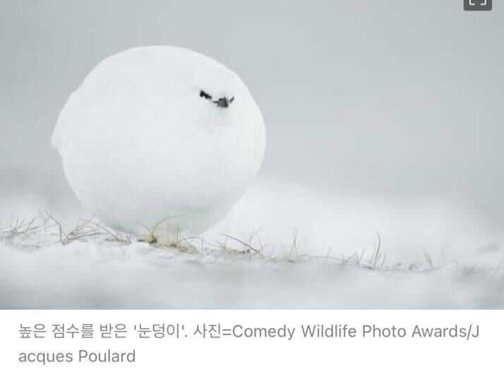 a1f7daf67b9500a94892d633a9e1db846b3778417b2eb0b611ec15da24ce790ef24caa37e7acfca1fa4e9f6f33c02cb038604205b9eaa41bbf7c9301b8eabd98