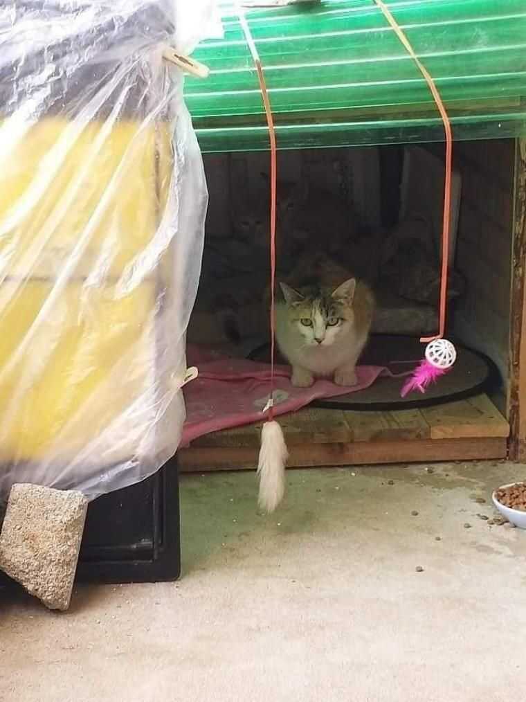 a378f56fc879b794a4b04adbc68806382bf7a42928dfe9e24d988e2da69c6e1319b967e61a8fc4b61230673845c337701b1c22c6d1bc299574e4f763c75cf008