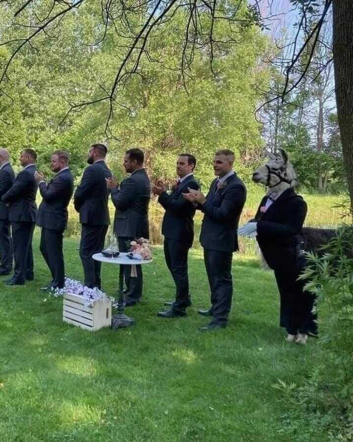 a42c3052e5568de313516e1071d1d2f517e3f49aebb696a60f89c3e4f275bc595203075fb5bed9c85d802c59f1e10f36ba623f356d143275dbfad5819035d1ca