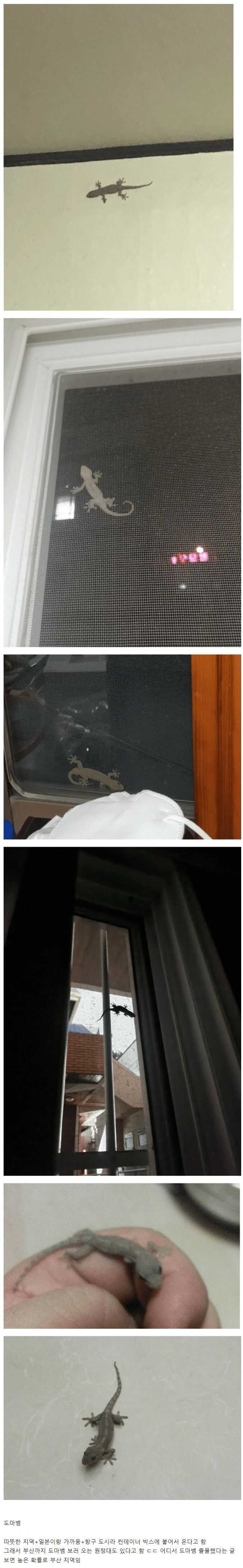 a4a5321918c92bcc274211b5f5c516611baf7a4f6a8d8f59b83fc1549ec8df8235dda3526e848aab29f91036f4c628964c43b78caf47354b2b6ec4ff6ec5d897