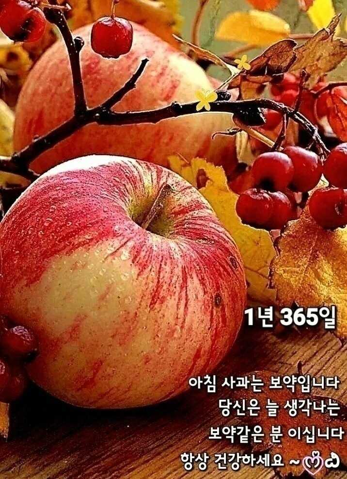 a4b89a8ade5495182eb5ffb8f09d0b4e0cccadad25a4f2373935a5e72ed9966558a8e559d25abd2bcf9d05446838144ba0aca8de472eb0e0a8caa8d93c21acfe