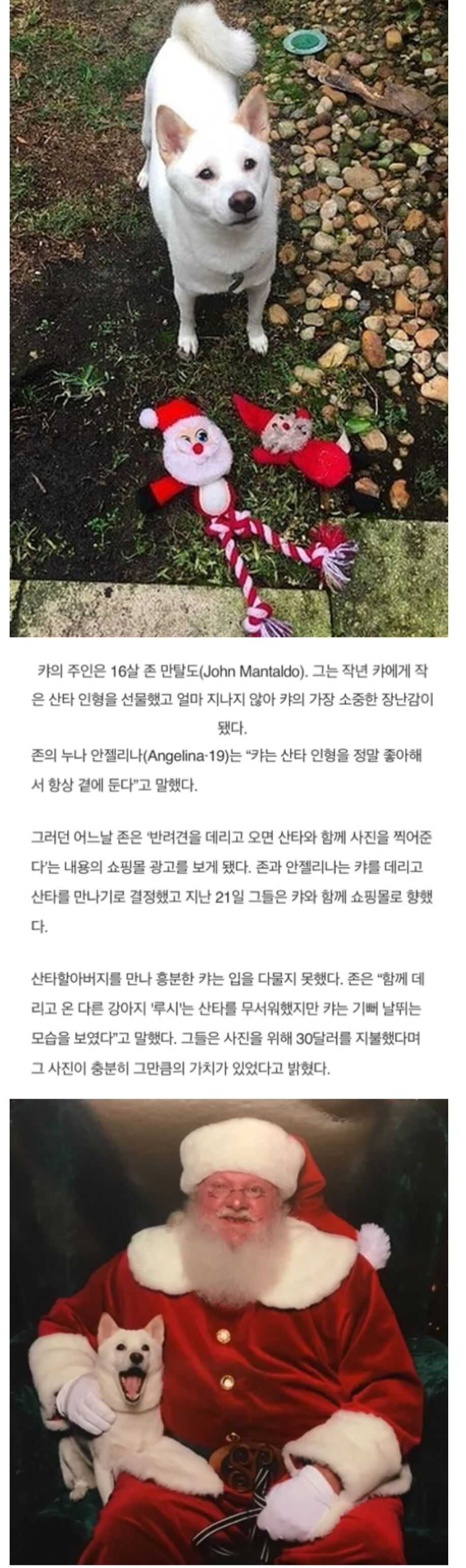 가장 좋아하는걸 실물로 봤을 때