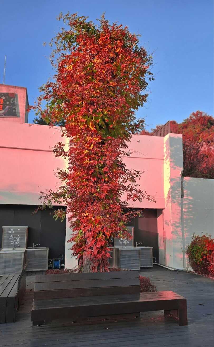 a58caf28c860b8f25cededda009cf0e8b4e4db5aaecd22934f1b64a645206a6440dfd25f9c4be8e8e270571b2abf11572b3c44e13f94df2b11b9b750e39ed7fc