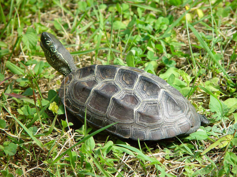 a5a06caf8e798bcf48cdf88b243bf8d3ab7eef40547d9220a9b2e9cfbbfb710f711c47864e47830c28797df56171c1efa0d67970e52319c6c1adf4c411c40a90