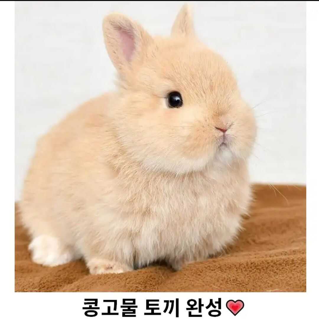 a5b0dc2fd1c5cfee0eb9c30a1ec9930eb04950722a94b5e9f7d3d593581b8447ccb70aabe149e219812754e16bc641f2a7fa022e122f2123421379213f250c44