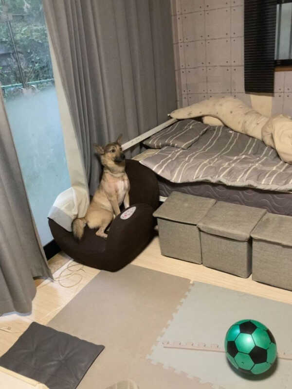 a6221df9d018f25de9f85e9ff2e240878f44ca57b6b5be26cff8edcc3a8f05457fe96645305a31abbd70a031552cb3d78a0891bfc5ff04bd1c91a61213bef57f