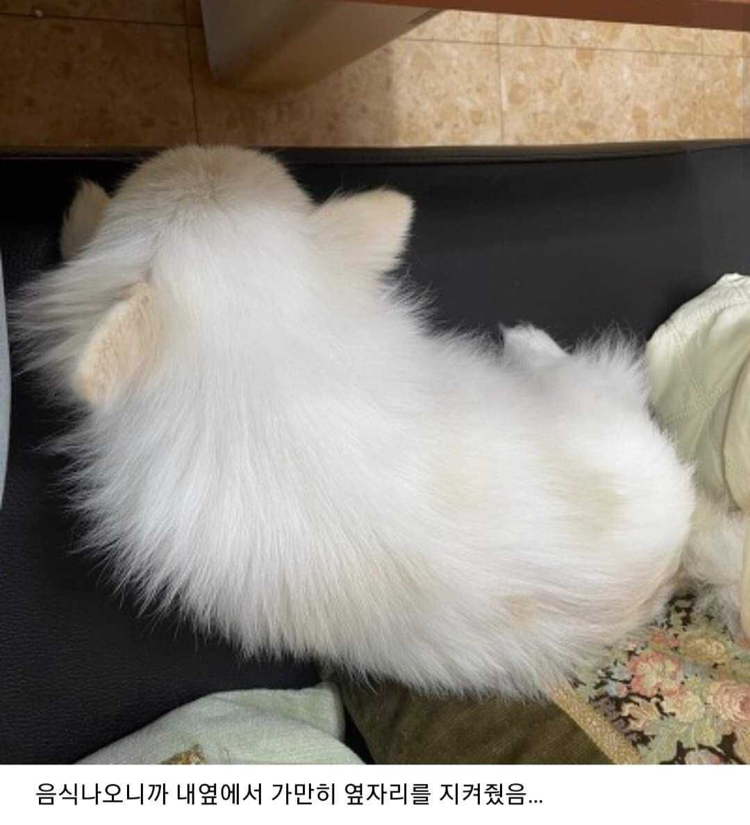 a6330bd8f838f0a55136aa188644fe9278cbb4c1fa551f30881e0ace6905c5ecbf8ed7bc43a3e254c8c71219be22bf1e966a36c91551717cce43acfd5f7e200f