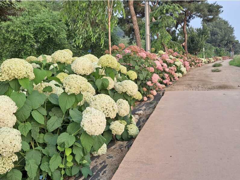 a64caa42e6e0c05f029c96e30eee2c6073a08793603c537407e6c3ca75516d99aeebd59dce242d94550ef8ad3a30f3edc3a7eb0bdcae45d4038dc0a307444824