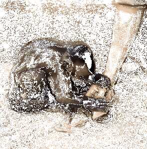 a811375f1947b15d42df7be70aafff5fb2343ef87014cfcec4267d42dd5a5b6854ec551e036070bd9529940c1c266b09c57a0238a8566727cf4d00807a78de9d