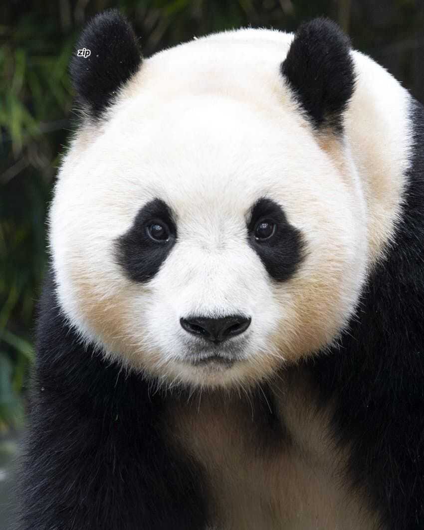 a8bbc3701b3781570de3091f9f5ab1e2cf8c179183db11fe4665767b9122f0f0bca3678c6027a8d6c3eaff11663f066770dd31f400a1e18dd047eaed0e6478ff