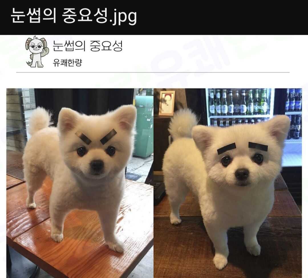 a8cccbed06b5d38925d80196e4bb1c7f9760cd898b7826e6905a028b90146aaf09efcf2048130a54b4baa565b12aea0f3896e6380163f903d2b3ffc22a727abd