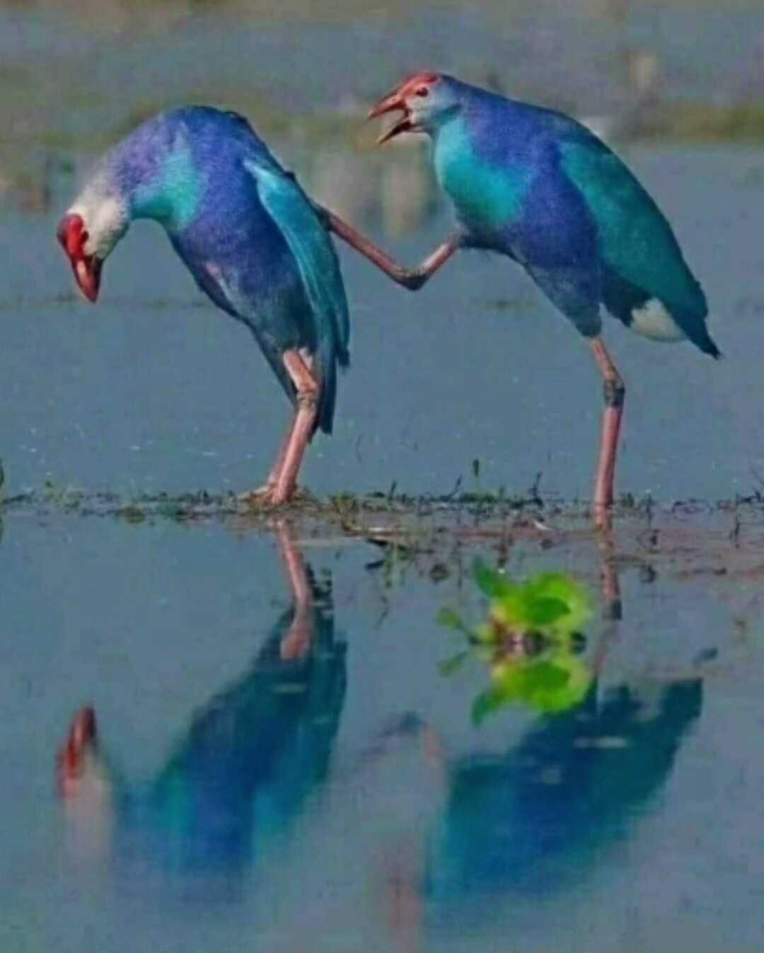 a90e0862749014d20cb3005fa02ca7560e2702d0c79b8fba254b7f0b5a2e5faff0e64de6c50de3939c9866393763d8a47ca72779d9c977efb225a8320d1b3b81