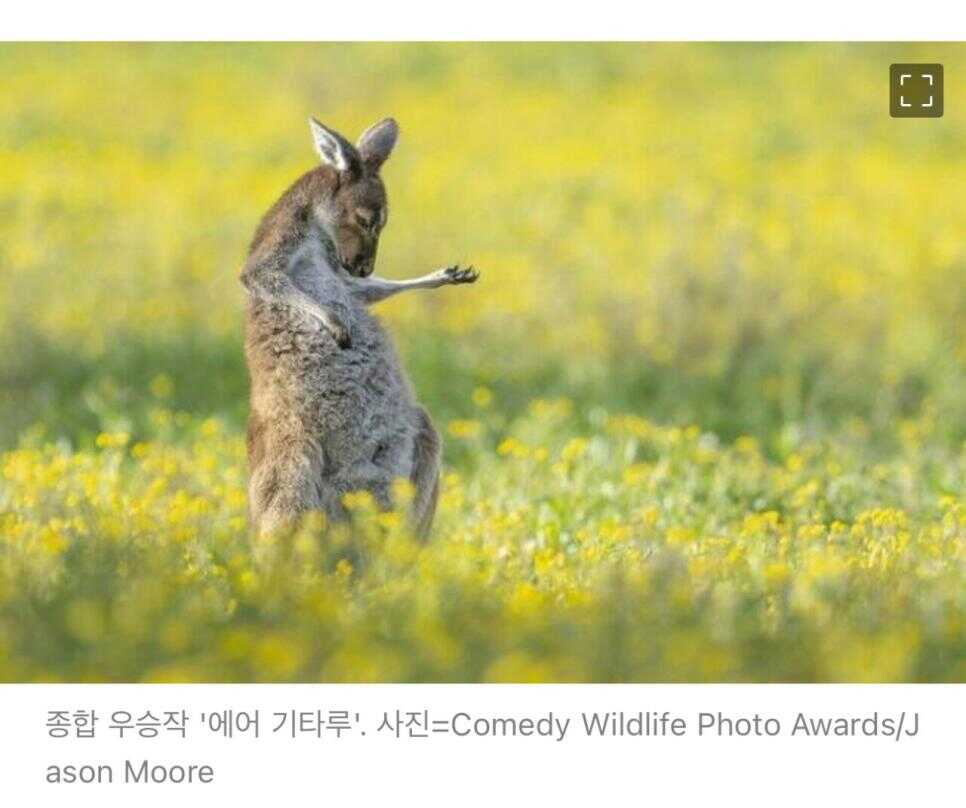 aa51d18baf9656a63ca4c6b67bc8d4b7116b05d06d2a70bc244e74d39b8ea1ab603dae0b9c246d975902a8453531a06a7f026e66d47c83a6bf0182c32b4f6ce9