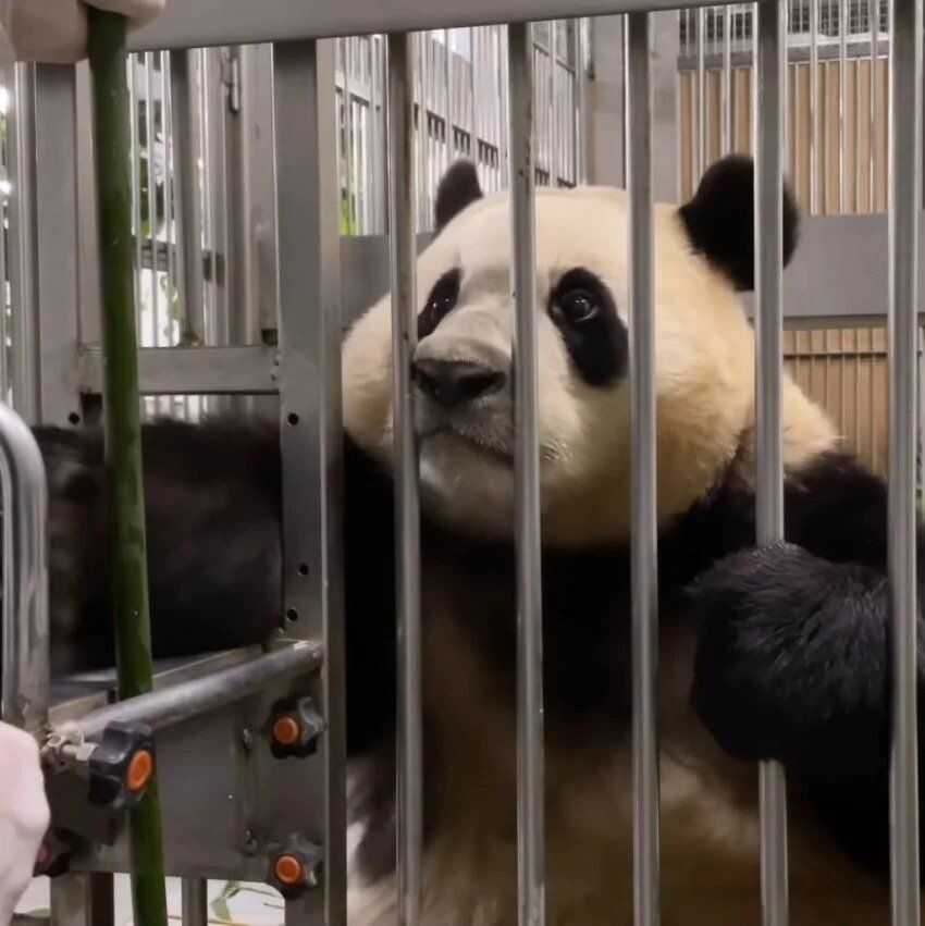 ab165e6a96ecc981da45ba5cba1230fd10626e6782018333570640c9d3f21f276ebd5cbcef867991a8cbaf9aee55264555154a7d27958d2f9ed212fe9eba54ba