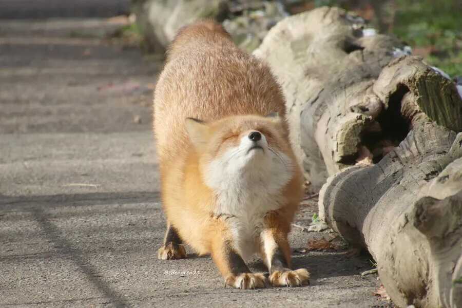 ab2c87967cee4d42a788f69f372a3f602b249a1071097949344a1a0deb92d00ea88b33b38323f8081cb49b96d5c59d698e2afe39cc80a4fbf373769f9f13f67d