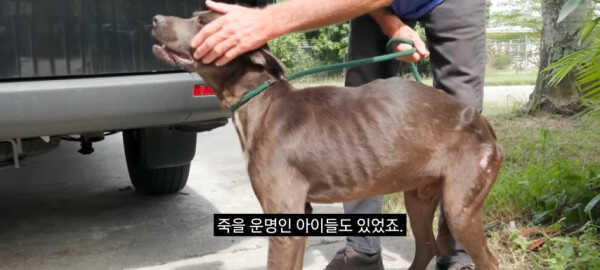 abe947b29370e0fb10f0d693c697aa32c974dfc1a275de6838427ee1c8772344c91c473ffa5fc8b6ab8dc58855a4453712ac6f81e21020bf02170942bc8fb2ad