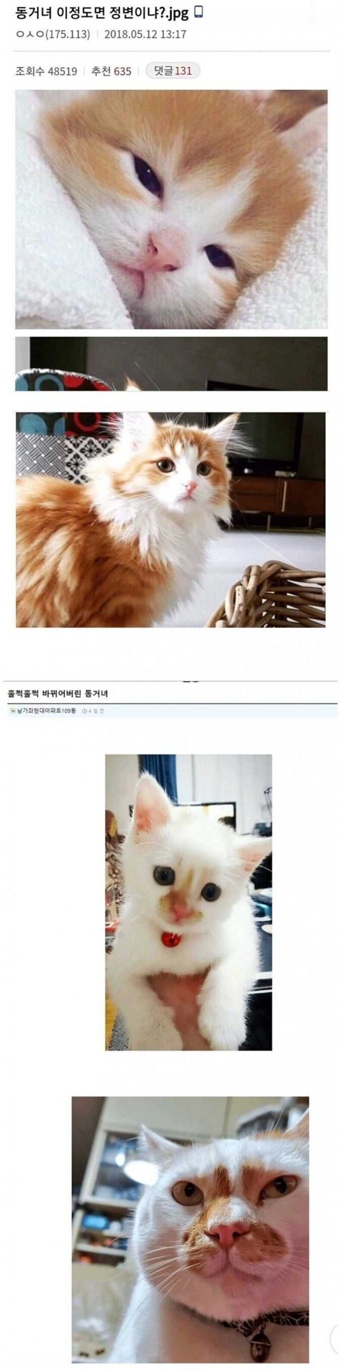 ac49fac93f977d141cf9c850fc5d559efc45e4f0875e6175da726facaa4c11141f2af8519ca3c65d8d2a4d7ca4e351d9375e8320f0e7e9e9a3a04346964f479f