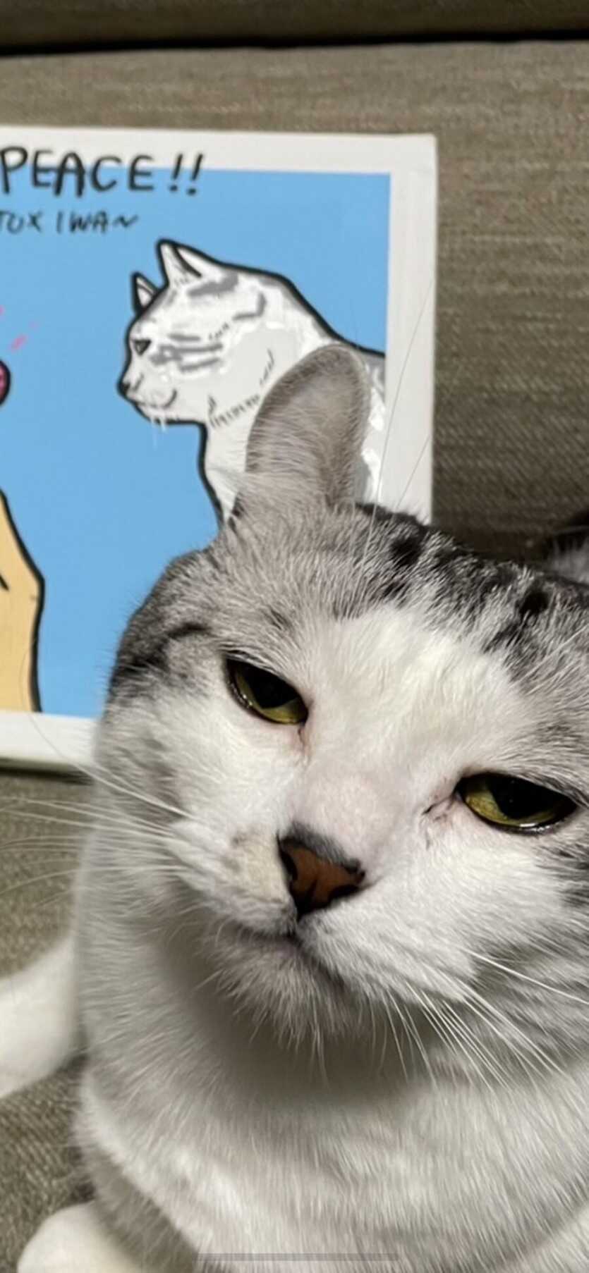 ac8a233dade313c36395c307380093146371d4059f3f79cef9b58c7c87479076420dd9efb3851cce16205bd372c350e366526ce2946a9bfa5f8900040a0661c2