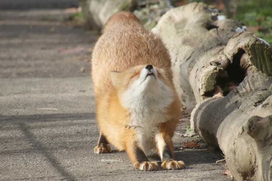 acf91d039270f02f8f8cad1eac3ca34d3fa32c491a06ebb59cc8069588a5199a9dbb3a6b4e2422f64c22937782298474aeed113614d399c675fe20513d3ec539