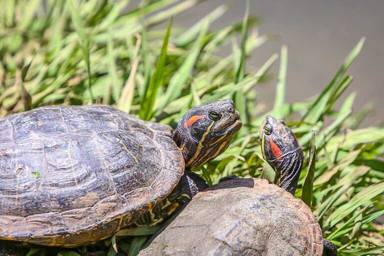 ad1ba6a48f73b0d435b7bb2b1991d4e190c2de669291e2fce22a3c05eb5e2fa49a36fa4e6bd7280666e25ab47b6b237bd8ecf7b4f8f6049f9eba05e74fee88cb