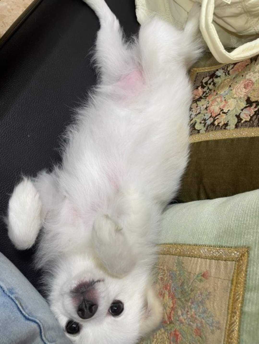 ad361d4acda00219f15add41310b75c75475215cc398ee6170b8cc3295f4eb11fb557be3cefcf9187b053a96a29ba9d7210ae4bb1ae2662916362dd684c8ad74