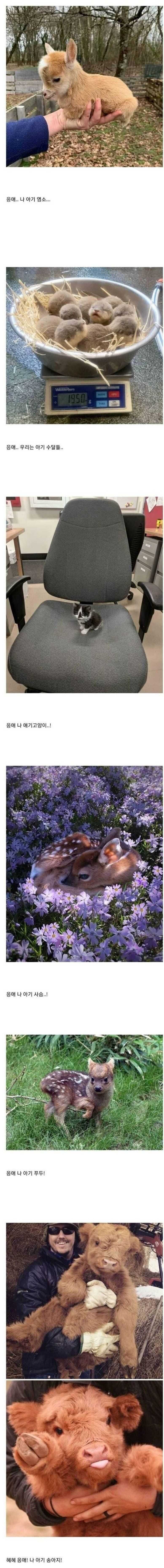 ad94ad2ea38d4e6ddf74a56c8650b301afee93ce31e0a0512514788dae5de746e89ba2010508649fe33bc5ad2baa2629fd9d152a186e26dcd8c2c209ba0dfdf0