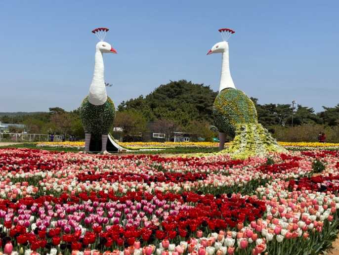 ae7cb2072894df54cf812d31277a306aafb14e9807537cd675fd30a184028d784b63af39b268bf7eff726caf044a23971cb332f0015761b180c6c7f5c8465745