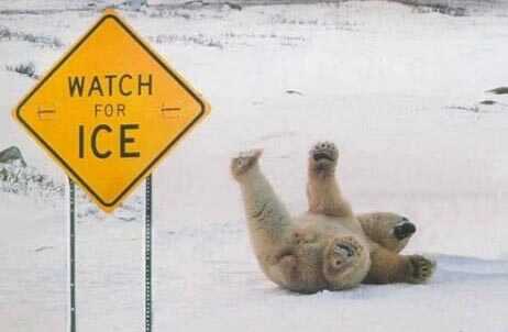 aeb82dd06d38a8a08ec652221f656bcbe5748717cb12627371497e73d49c4a962c29df753bf5fbbf7822543be05e4e3fc00dc461930f7608c3f85c67f4ee73cd