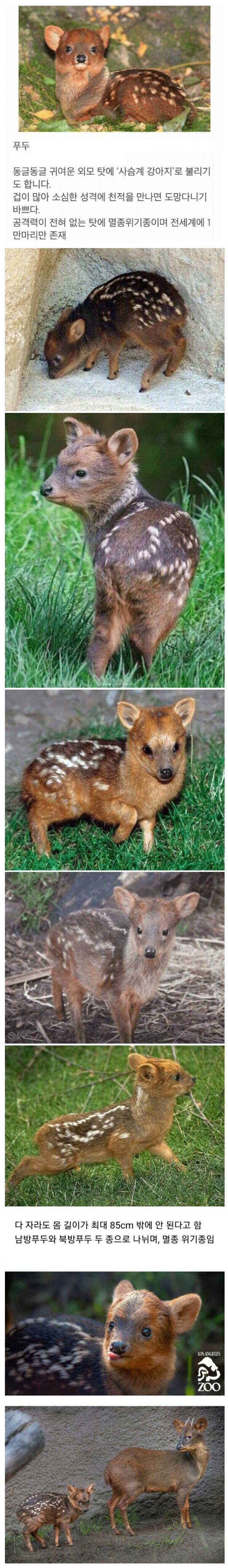 af2bb491127c3b9361ae3ff45b57e65729ab734a91d90e10f42a66a788943c7114513fc46bf14981699e77cc515d294658ce8710f051fd338044d5b0daee422a