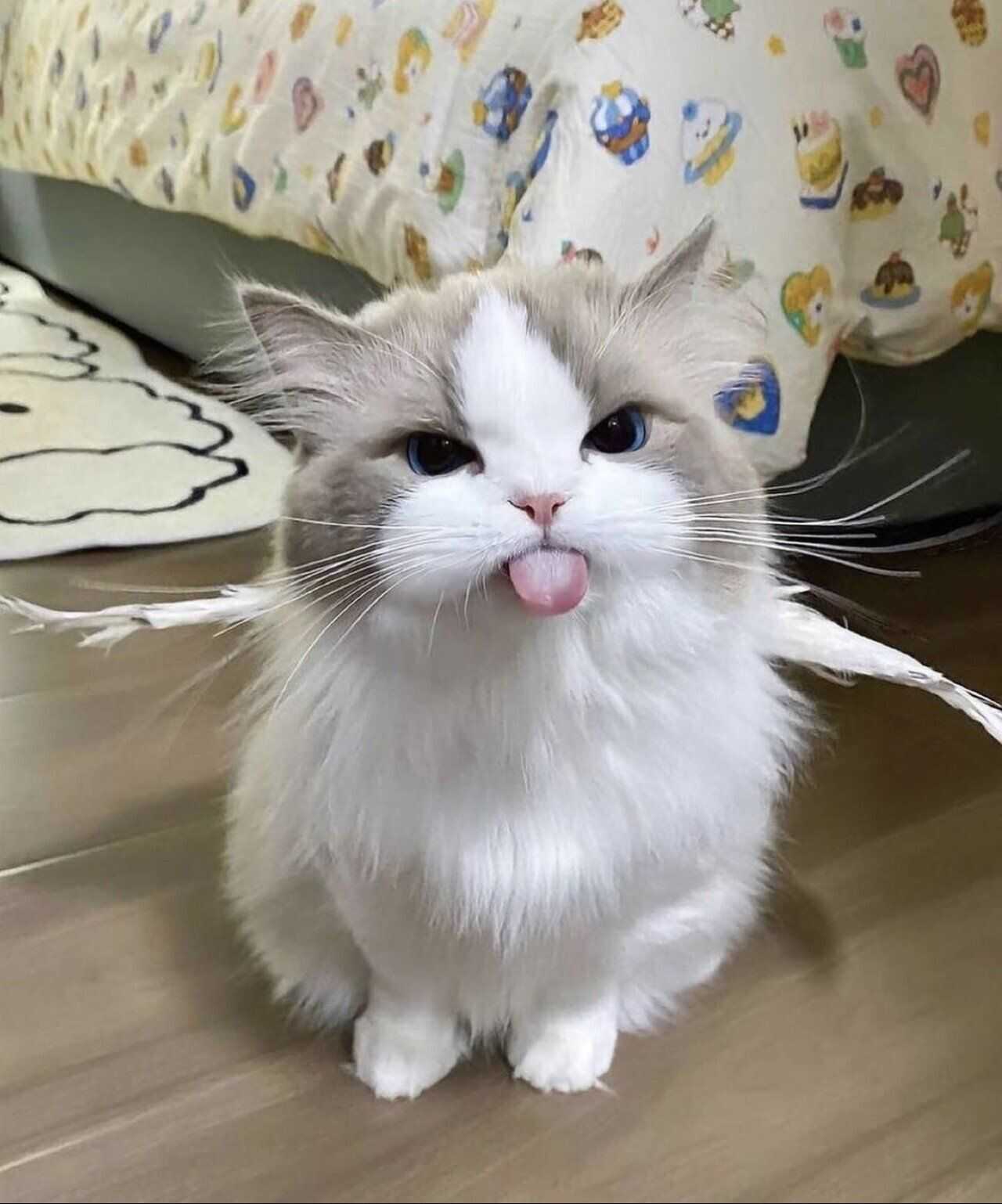 af47ba8d7d6b8225fb0f51b3db26c28a580182a96b83b6d94260c138da82d21a2f4aceb2eefac361fe9092e3bf03779f58e8c80ce9abfbda8e5cb8cbb1c6d550