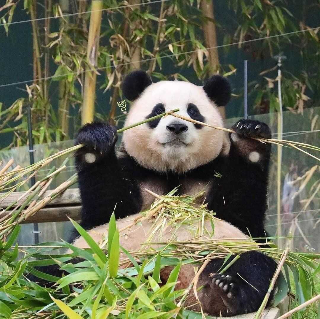 af487cd80e5dc1ec608580072c9586e96548bc7ff1a4cffc715ea5f5920cfb53bed34033ff9ad608db911baf3f95ee9ae5fe92bdf4e2a6a7ef444f9d5717e59e