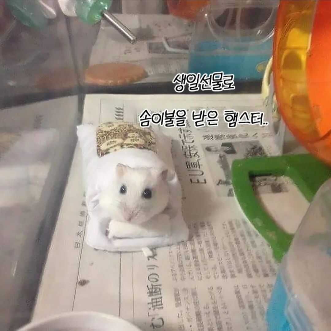 b0bc9af4487ac9fd0b032e2775ffdf426c06493994c4b17ece9697375b780ebfd93e96993ef176f2641b8189f4c81ccabf6df47d3a5b2e2540a442507cc9cf61