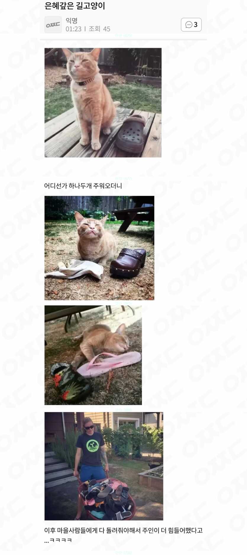 b17f71052e4d8606374ba3023135f6cc9d39ef191e2b5c39ffa73b2ba7520dc24797998e732ab230638d0ed144e416da9c08ed63d177bc8c29a4926262b0cd7d