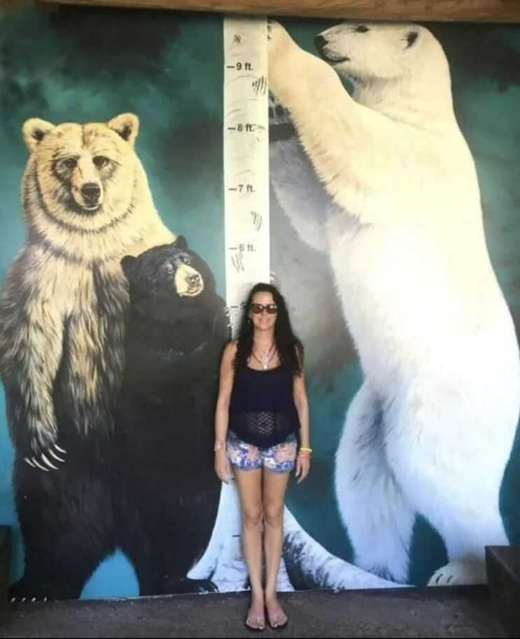 b23b6b1bc42ae893158f6f6e53a3153f212f765b1e364fcd48833d9e0cf8f8d0bdffd89bd8088fc258559765b2380582840cd8d071e93b4ea6a408375f10fbc3