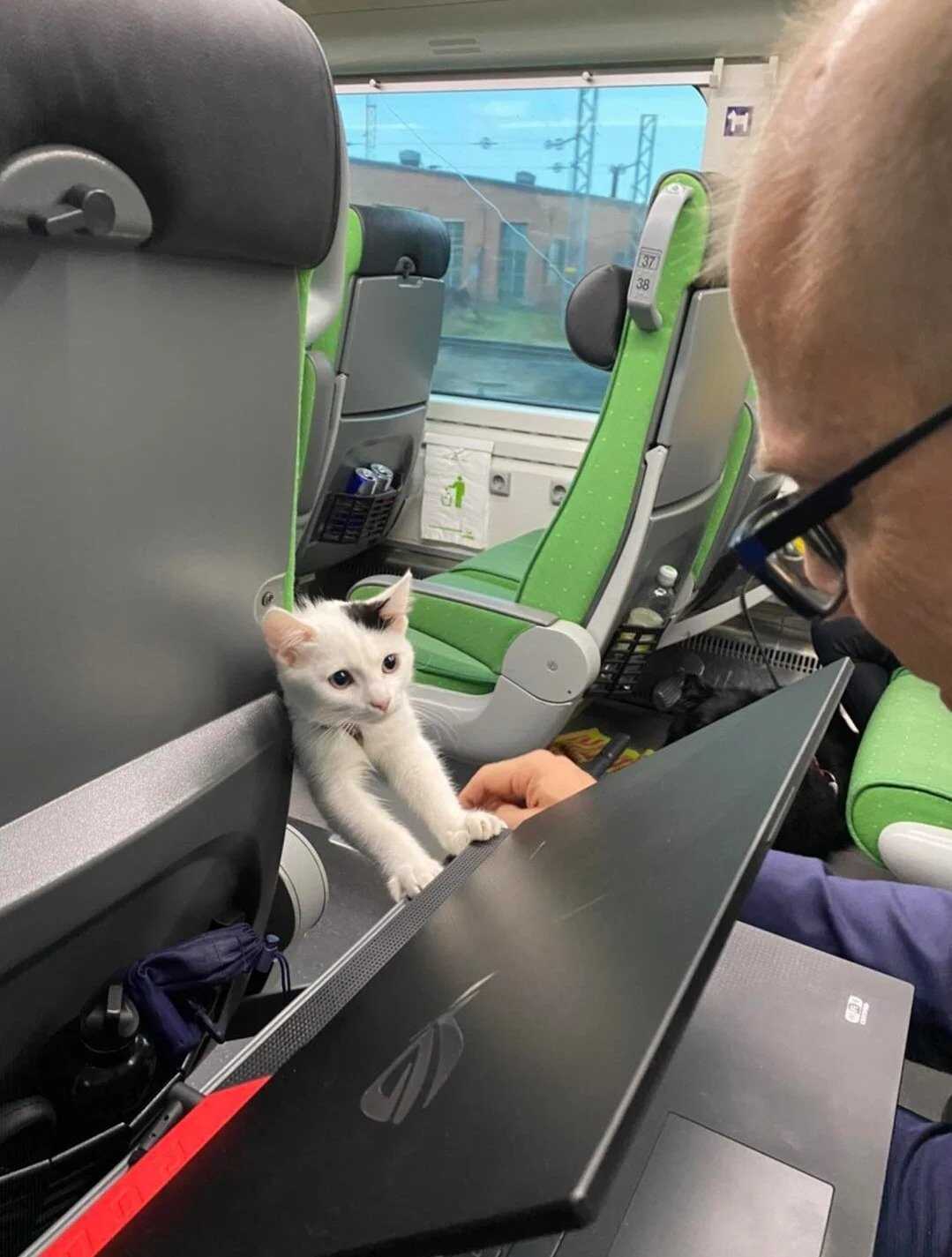 b36c2d428c101490b5efa2e9c5cbbf33e622f974e3e1b51b26a3b8142ebf9965ded250829c9865e38eaedda66e391d473d89fc7faa8772aba2881b071d6a6e4e