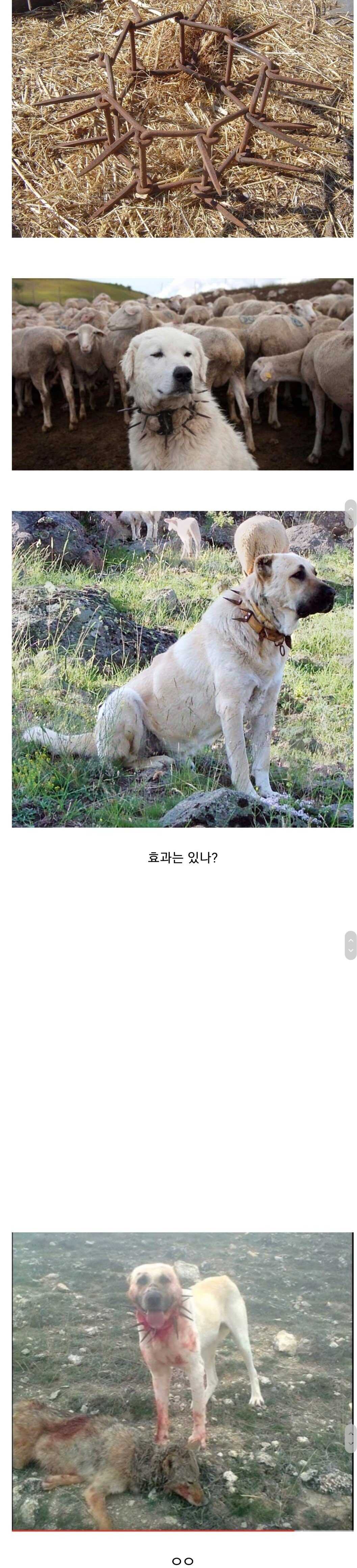 b41effeedaff25441ccf051f48b91ba1b4f815e221d6d9b62f819af9a0e6e6312ef94e808e3d7c81e489ca9d8c3e6639d95c960c3db81332f7b318476447713b