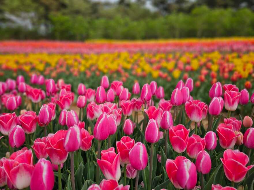 b5ab9bbf2c11af4cc90a35fa28a18171d6a797580265c3e1b49a0ba35f5c1c7bf819114d383e2296a04bca8784328fbf79abf25ed93f9cbb3ba65ba18e02a656