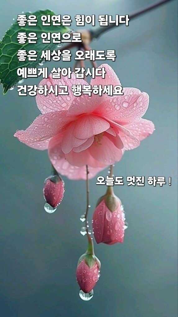 b6ca9d4768664bf87fac0a6564b47980c4a3ed93f130b49ae842f64adc1584479931e20335c94e95d2d48e9c8e94c00b0353032b770474ca4db88a646396edc0