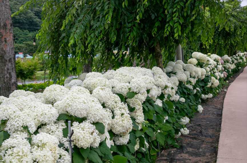 b7f74336d8837906ee6c4bb1fa734a633cebe9e9d1c3d8e3b75d734d3c7a06869f60a02b0cc45e8e552aa63782fc0e0ea105d75b6c40fcdfe8ec813076f07905