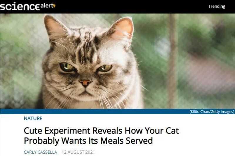 b8572f64d26ba9bb729cb772bebe1d1b4d7fc5dbac8ca696ada289f9e1e72797a7f89b8e2f497e41c4c385aa872ff5fb6ca6ac9c5ecf9c655b226ac037166bc0